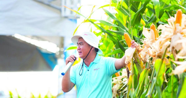 Công nghệ sinh học thúc đẩy khoa học chọn tạo giống