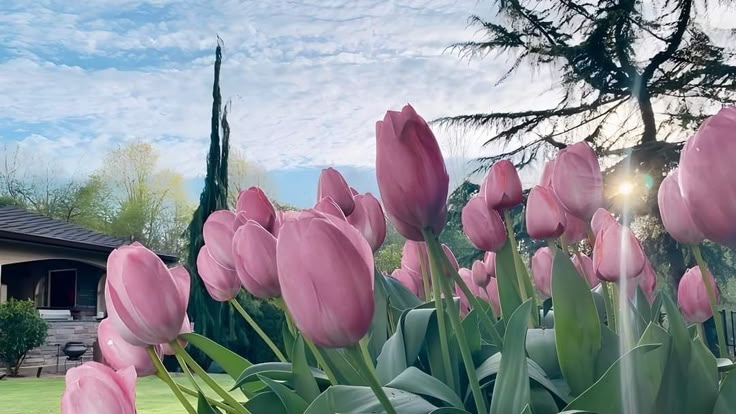 Tử vi vòng quay công nghệ ngày 14/5/2025: Tuổi Tỵ vận may rất tốt, tuổi Hợi cảm thấy khó khăn