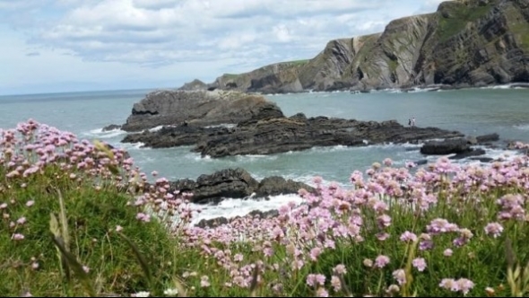 Tử vi vòng quay công nghệ ngày 16/5/2025: Tuổi Dậu công danh rộng mở, tuổi Sửu gặp trục trặc