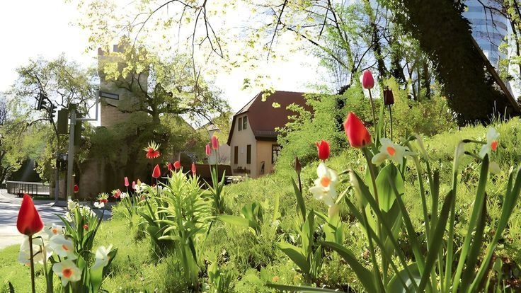 Tử vi vòng quay công nghệ ngày 17/5/2025: Tuổi Thân gặp khó khăn, tuổi Hợi có nhiều lợi nhuận