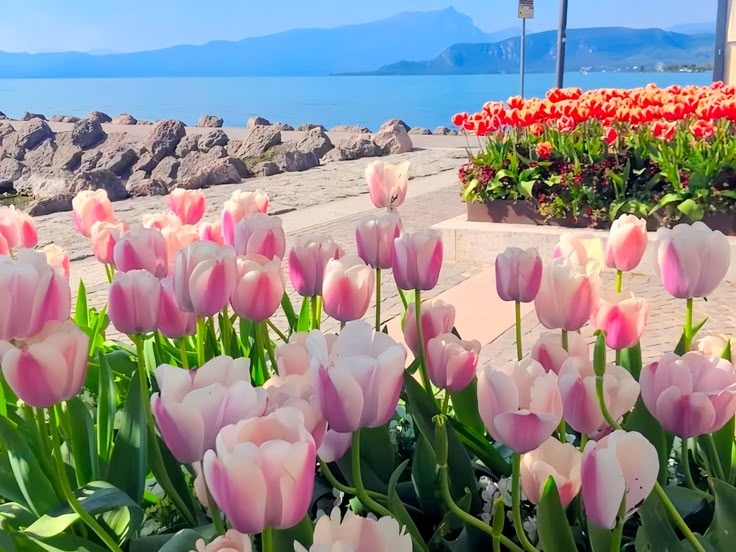 Tử vi vòng quay công nghệ ngày 18/5/2025: Tuổi Tỵ vượng tài, tuổi Thìn gặp nhiều khó khăn