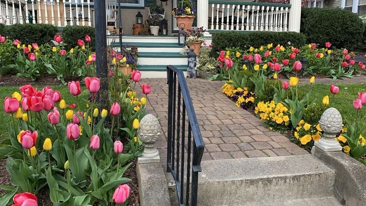 Tử vi vòng quay công nghệ ngày 18/5/2025: Tuổi Tỵ vượng tài, tuổi Thìn gặp nhiều khó khăn