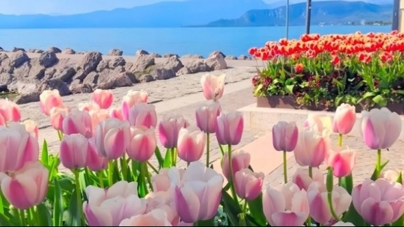 Tử vi vòng quay công nghệ ngày 18/5/2025: Tuổi Tỵ vượng tài, tuổi Thìn gặp nhiều khó khăn