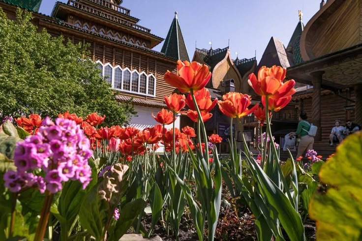 Tử vi vòng quay công nghệ ngày 18/5/2025: Tuổi Tỵ vượng tài, tuổi Thìn gặp nhiều khó khăn