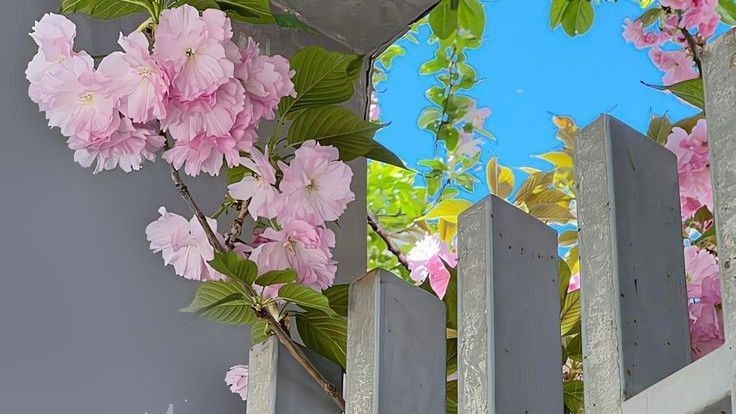 Tử vi vòng quay công nghệ ngày 19/5/2025: Tuổi Thân gặp vất vả, tuổi Tý suôn sẻ Tử vi vòng quay công nghệ ngày 19/5/2025: Tuổi Thân gặp vất vả, tuổi Tý suôn sẻ