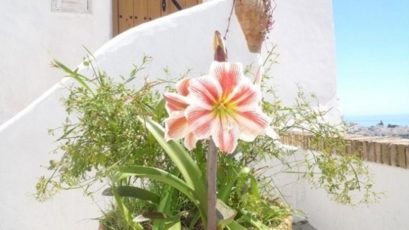 Tử vi vòng quay công nghệ ngày 19/5/2025: Tuổi Thân gặp vất vả, tuổi Tý suôn sẻ