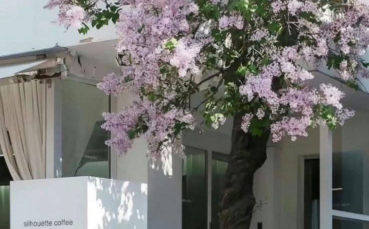 Tử vi vòng quay công nghệ ngày 19/5/2025: Tuổi Thân gặp vất vả, tuổi Tý suôn sẻ Tử vi vòng quay công nghệ ngày 19/5/2025: Tuổi Thân gặp vất vả, tuổi Tý suôn sẻ