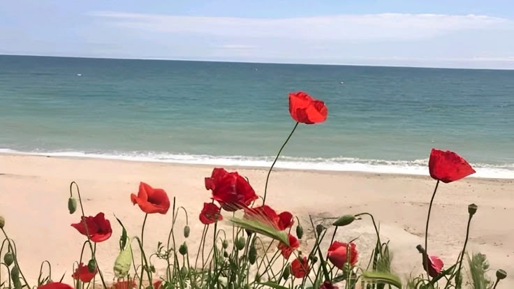 Tử vi vòng quay công nghệ ngày 20/5/2025: Tuổi Tý vận trình sa sút, tuổi Dần nhiều tin tốt lành