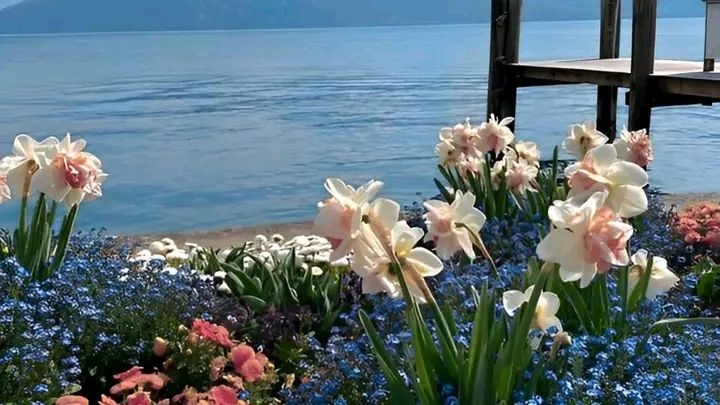 Tử vi vòng quay công nghệ ngày 20/5/2025: Tuổi Tý vận trình sa sút, tuổi Dần nhiều tin tốt lành