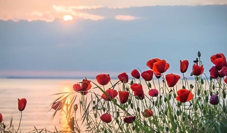 Tử vi vòng quay công nghệ ngày 20/5/2025: Tuổi Tý vận trình sa sút, tuổi Dần nhiều tin tốt lành