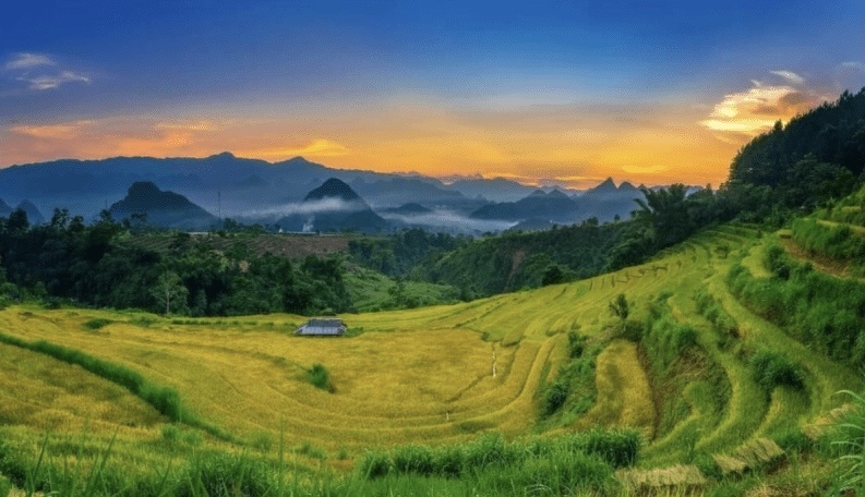 Điểm tin xây dựng - bất động sản ngày 20/5: Thị trường nhà ở giá rẻ vẫn khan hiếm Điểm tin xây dựng - bất động sản ngày 20/5: Thị trường nhà ở giá rẻ vẫn khan hiếm