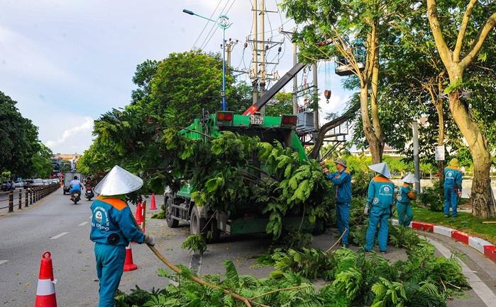 Hải Dương rà soát, đảm bảo an toàn cây xanh mùa mưa bão