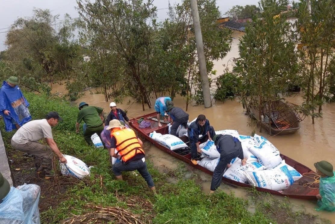 Hải Dương rà soát, đảm bảo an toàn cây xanh mùa mưa bão