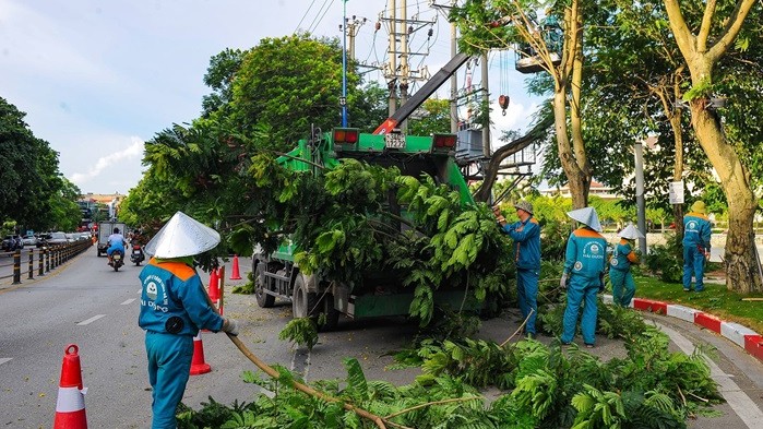 Hải Dương rà soát, đảm bảo an toàn cây xanh mùa mưa bão
