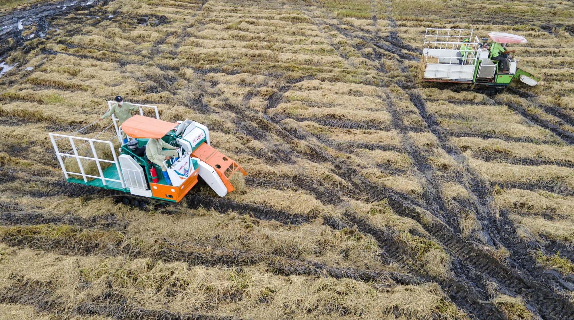 Biến rơm rạ thành "vàng xanh": Công nghệ đột phá từ đồng ruộng Biến rơm rạ thành "vàng xanh": Công nghệ đột phá từ đồng ruộng