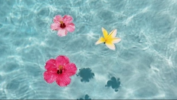 Tử vi vòng quay công nghệ ngày 25/5/2025: Tuổi Dần dấu hiệu tích cực, tuổi Thân cẩn thận làm ăn