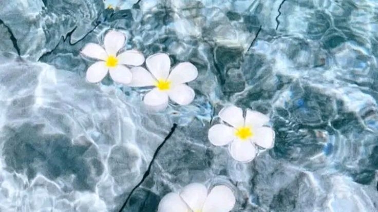 Tử vi vòng quay công nghệ ngày 25/5/2025: Tuổi Dần dấu hiệu tích cực, tuổi Thân cẩn thận làm ăn Tử vi vòng quay công nghệ ngày 25/5/2025: Tuổi Dần dấu hiệu tích cực, tuổi Thân cẩn thận làm ăn