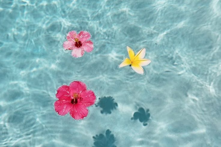 Tử vi vòng quay công nghệ ngày 25/5/2025: Tuổi Dần dấu hiệu tích cực, tuổi Thân cẩn thận làm ăn Tử vi vòng quay công nghệ ngày 25/5/2025: Tuổi Dần dấu hiệu tích cực, tuổi Thân cẩn thận làm ăn