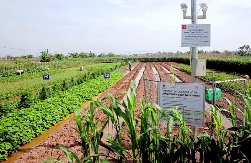 Hà Nội nâng cao hiệu quả chuyển đổi số trong nông nghiệp Hà Nội nâng cao hiệu quả chuyển đổi số trong nông nghiệp