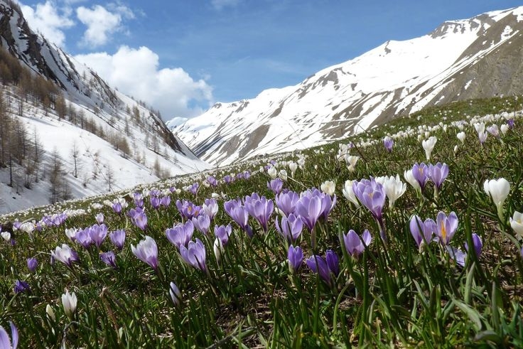 Tử vi vòng quay công nghệ ngày 29/5/2025: Tuổi Dậu sức khỏe không tốt, tuổi Sửu đón nhiều may mắn