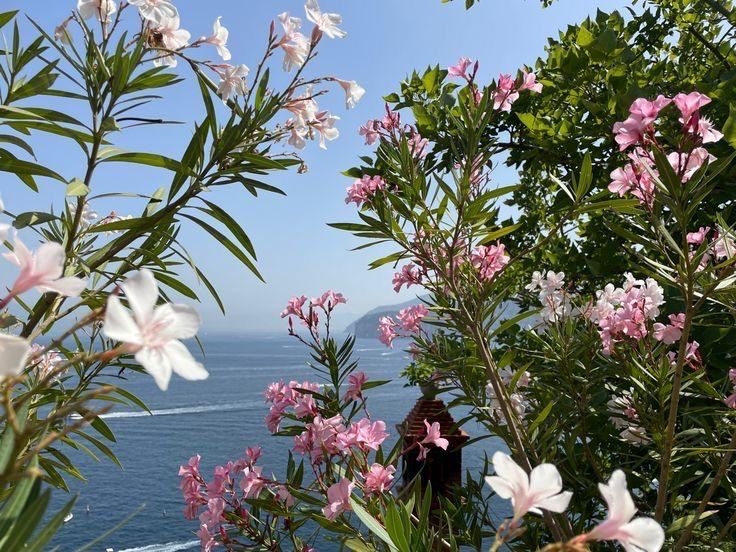 Tử vi vòng quay công nghệ ngày 29/5/2025: Tuổi Dậu sức khỏe không tốt, tuổi Sửu đón nhiều may mắn