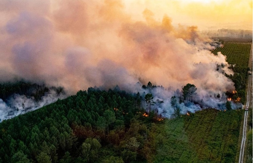 Khu vực châu Âu chủ động ứng phó nguy cơ cháy rừng Khu vực châu Âu chủ động ứng phó nguy cơ cháy rừng