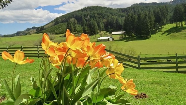 Tử vi vòng quay công nghệ ngày 30/5/2025: Tuổi Tý điềm tranh đấu, tuổi Tỵ công việc tiến triển Tử vi vòng quay công nghệ ngày 30/5/2025: Tuổi Tý điềm tranh đấu, tuổi Tỵ công việc tiến triển