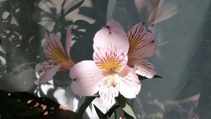 Tử vi vòng quay công nghệ ngày 30/5/2025: Tuổi Tý điềm tranh đấu, tuổi Tỵ công việc tiến triển Tử vi vòng quay công nghệ ngày 30/5/2025: Tuổi Tý điềm tranh đấu, tuổi Tỵ công việc tiến triển