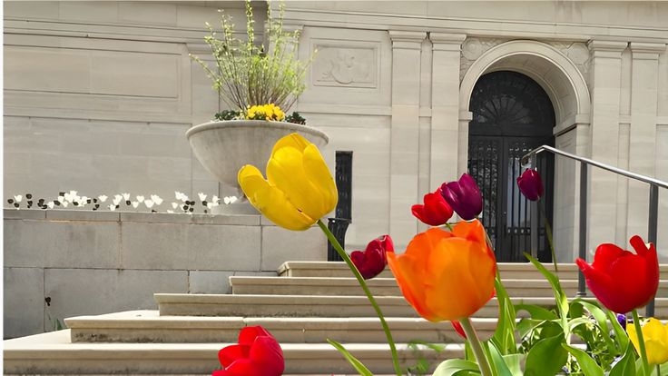 Tử vi vòng quay công nghệ ngày 31/5/2025: Tuổi Hợi suy nghĩ bế tắc, tuổi Mùi nhiều cơ hội Tử vi vòng quay công nghệ ngày 31/5/2025: Tuổi Hợi suy nghĩ bế tắc, tuổi Mùi nhiều cơ hội