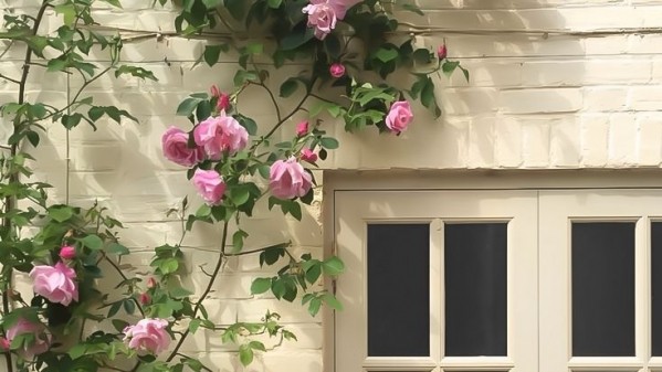 Tử vi vòng quay công nghệ ngày 31/5/2025: Tuổi Hợi suy nghĩ bế tắc, tuổi Mùi nhiều cơ hội