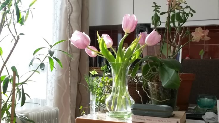 Tử vi vòng quay công nghệ ngày 1/6/2025: Tuổi Dần hay gặp trục trặc, tuổi Mão may mắn