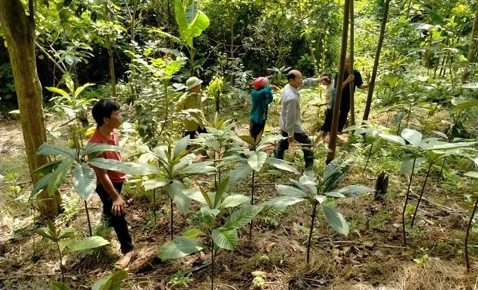 Tạo sinh kế bền vững, nâng cao hiệu quả công tác bảo vệ rừng