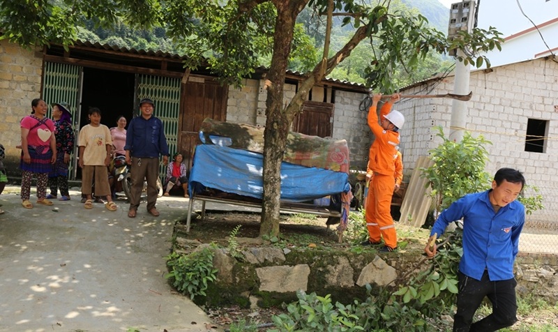 Điện lực Lào Cai tăng cường công tác bảo đảm an toàn hành lang lưới điện