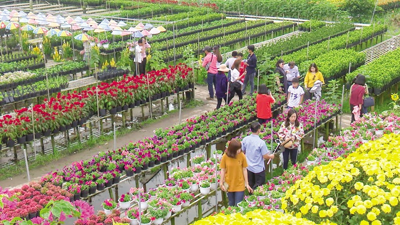 Đồng Tháp: Bảo tồn làng nghề truyền thống gắn với phát triển du lịch