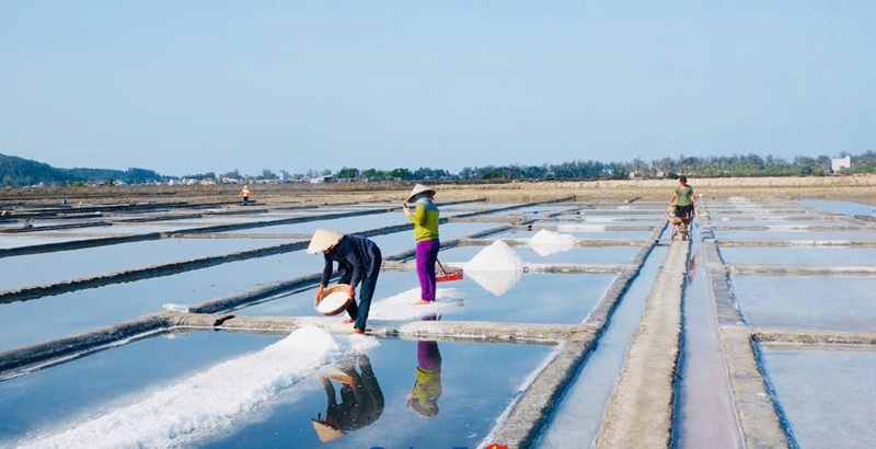 Quảng Ngãi hoàn thiện cơ sở hạ tầng phục vụ phát triển ngành muối Quảng Ngãi hoàn thiện cơ sở hạ tầng phục vụ phát triển ngành muối