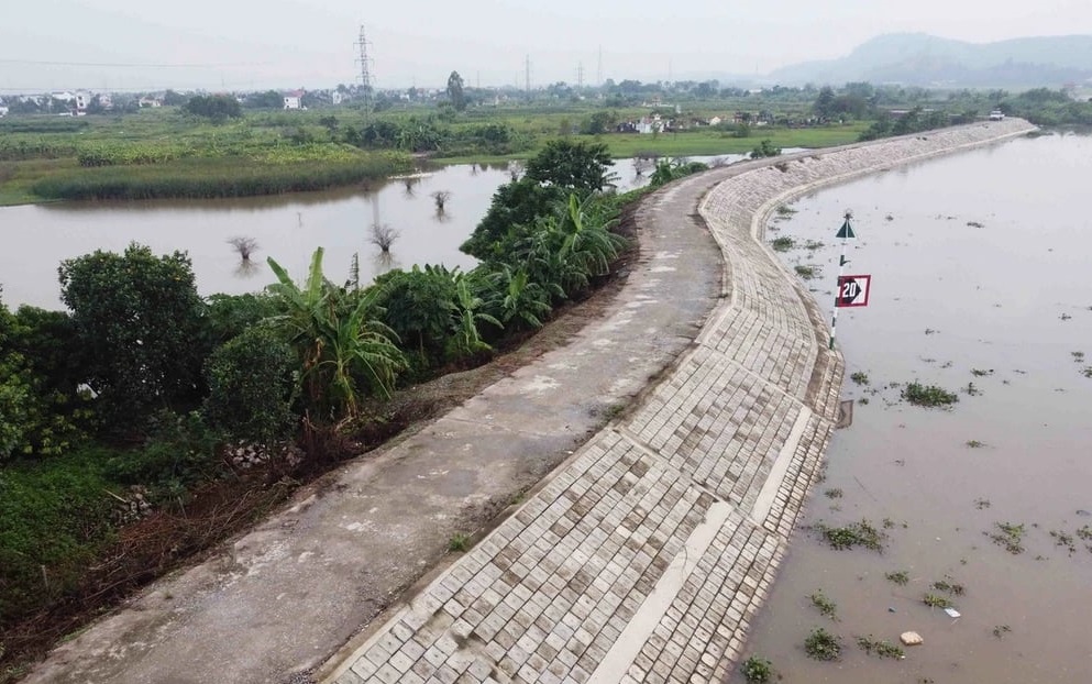 Bắc Ninh: Xử lý nghiêm vi phạm hành lang bảo vệ đê điều