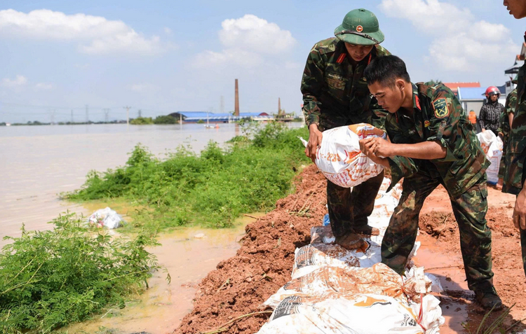 Bắc Ninh: Xử lý nghiêm vi phạm hành lang bảo vệ đê điều