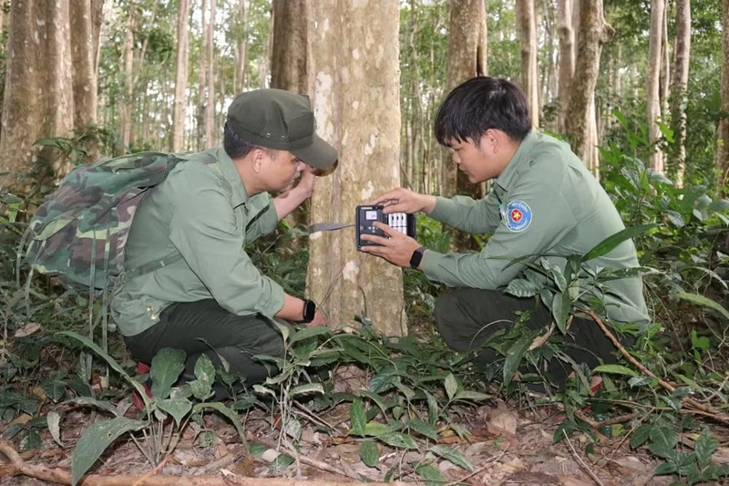 Bảo vệ đa dạng sinh học ở Vườn quốc gia Chư Mom