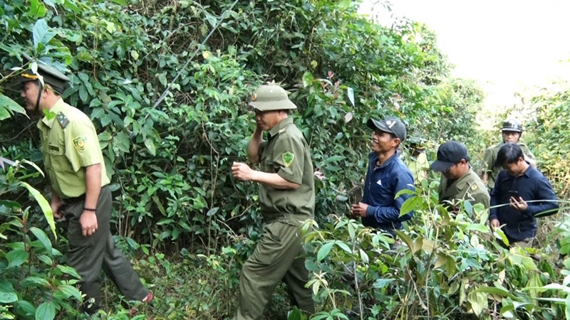 Lâm Đồng tăng cường quản lý, ngăn nạn săn bắt động vật hoang dã