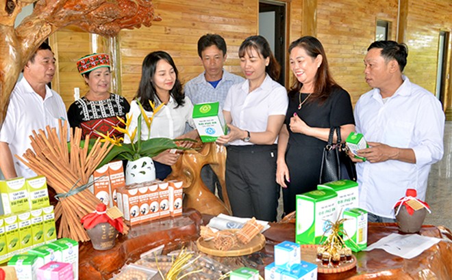 Chương trình OCOP tạo động lực thúc đẩy phát triển kinh tế nông thôn
