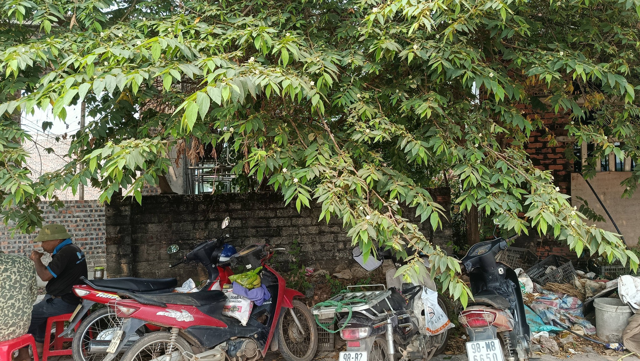 Có sổ đỏ nhưng chưa thể sử dụng: Lô đất “mắc kẹt” giữa pháp lý hồ sơ và tranh chấp thực địa Có sổ đỏ nhưng chưa thể sử dụng: Lô đất “mắc kẹt” giữa pháp lý hồ sơ và tranh chấp thực địa
