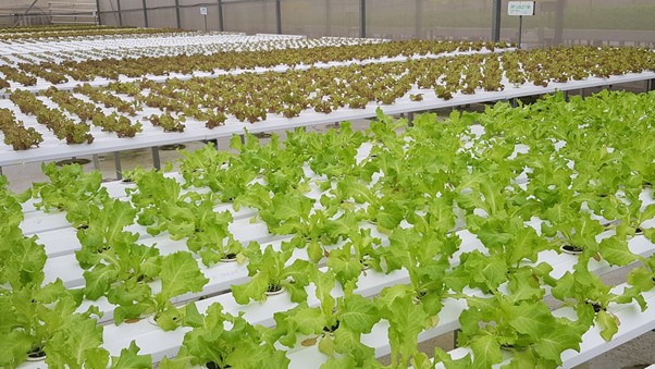 Làm thế nào để dòng vốn ‘xanh’ đến với doanh nghiệp?