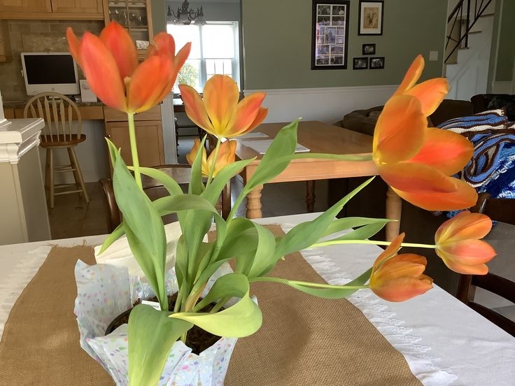 Tử vi vòng quay công nghệ ngày 2/6/2025: Tuổi Hợi công việc suôn sẻ, tuổi Dần công việc trì trệ