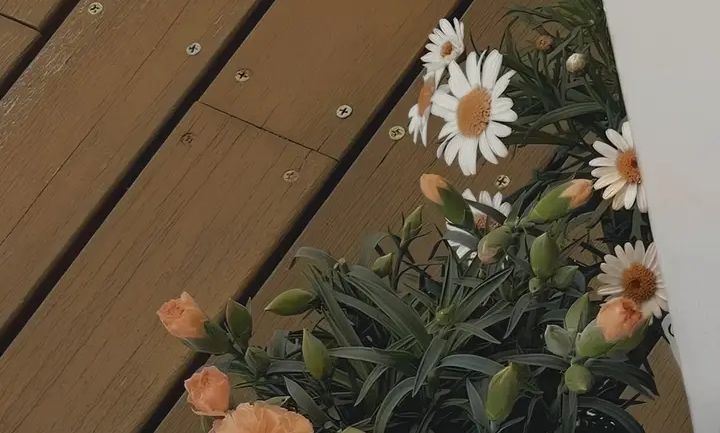 Tử vi vòng quay công nghệ ngày 2/6/2025: Tuổi Hợi công việc suôn sẻ, tuổi Dần công việc trì trệ