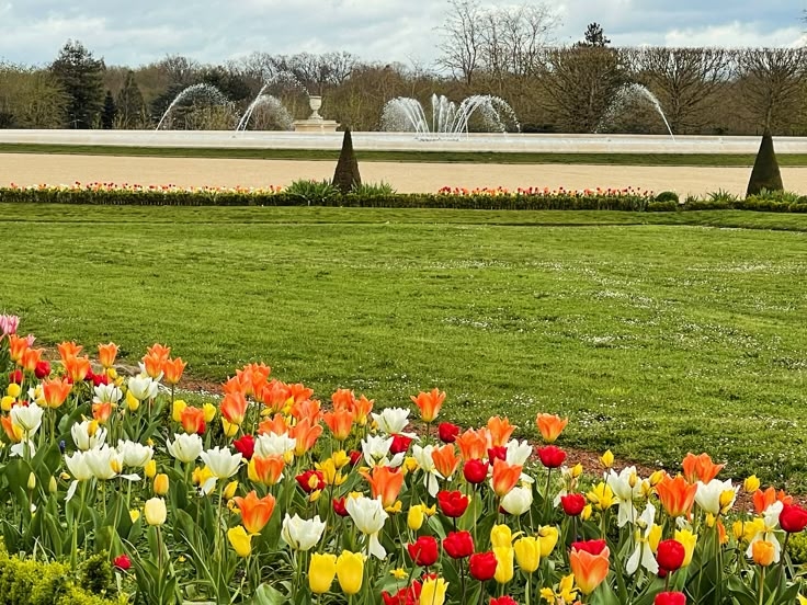 Tử vi vòng quay công nghệ ngày 6/6/2025: Tuổi Dậu khá dư dả, tuổi Sửu làm việc vất vả