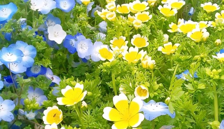 Tử vi vòng quay công nghệ ngày 8/6/2025: Tuổi Thân may mắn , tuổi Dần công việc bấp bênh Tử vi vòng quay công nghệ ngày 8/6/2025: Tuổi Thân may mắn , tuổi Dần công việc bấp bênh