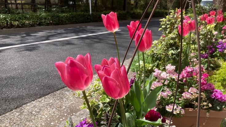 Tử vi vòng quay công nghệ ngày 9/6/2025: Tuổi Tuất trở nên mâu thuẫn, tuổi Mùi tình cảm bình yên Tử vi vòng quay công nghệ ngày 9/6/2025: Tuổi Tuất trở nên mâu thuẫn, tuổi Mùi tình cảm bình yên