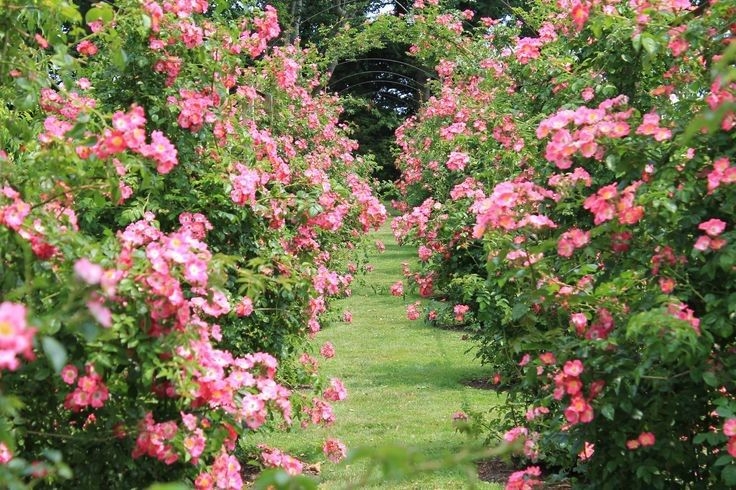 Tử vi vòng quay công nghệ ngày 12/6/2025: Tuổi Hợi nhiều may mắn, tuổi Mão giảm bớt niềm vui Tử vi vòng quay công nghệ ngày 12/6/2025: Tuổi Hợi nhiều may mắn, tuổi Mão giảm bớt niềm vui