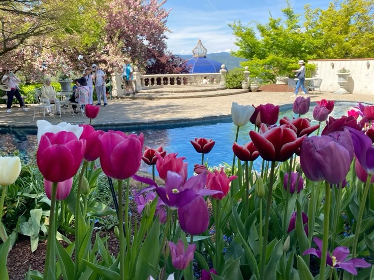 Tử vi vòng quay công nghệ ngày 13/6/2025: Tuổi Tuất nhiều bất đồng, tuổi Mão tin vui tài lộc Tử vi vòng quay công nghệ ngày 13/6/2025: Tuổi Tuất nhiều bất đồng, tuổi Mão tin vui tài lộc