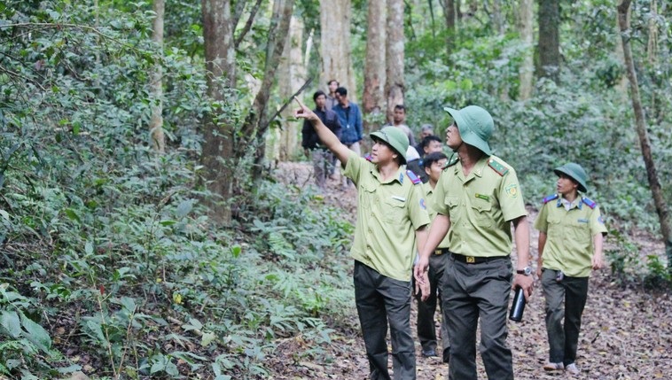 Gia Lai ghi nhận 460 loài động, thực vật nguy cấp, quý hiếm Gia Lai ghi nhận 460 loài động, thực vật nguy cấp, quý hiếm